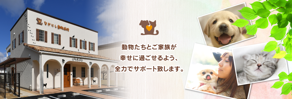 三重県松阪市の動物病院「なかにし動物病院」